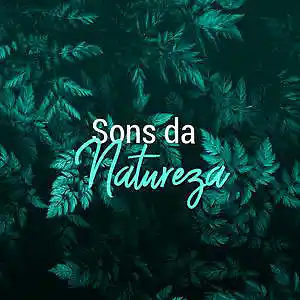 Picture for song 'Músicas para os estudos' by artist 'Songs para Estudar'