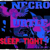 Picture for song 'Sleep Tight' by artist 'Turtle Necromancer'