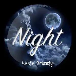 Picture for song 'WIKTO-GRIZZLY - night time' by artist 'WIKTO-GRIZZLY'