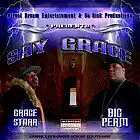 Picture for song 'PRODUCT & POWER' by artist 'Big Perm aka Swaggs Malone'