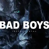 Picture for song 'Bad Boys' by artist 'Digital Flashback Beats'