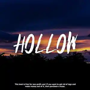 Picture for song '"HOLLOW" Juice WRLD Type Beat' by artist 'HIWYER'