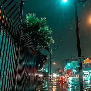 Picture for song 'Rain in my Soul' by artist 'LERMON'tov sound'