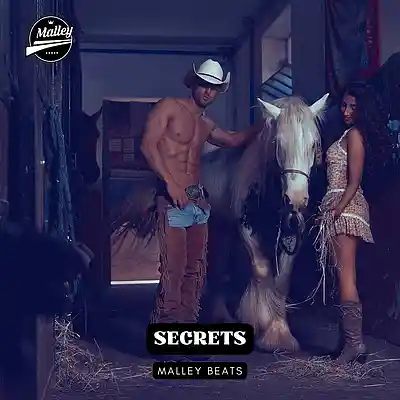 Picture for song 'SECRETS [COUNTRY RAP TYPE BEAT]' by artist 'Malley Beats'