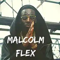 Picture for song 'Malcolm Flex (FREE DL)' by artist 'PAPLO'