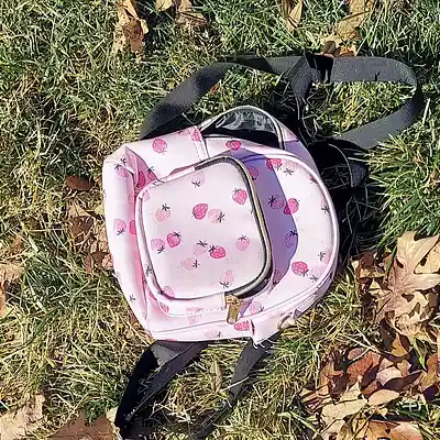 Song picture of 'GOODBYE STRAWBERRY BACKPACK demo'