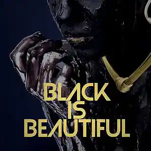 Picture for song 'Black Is Beautiful' by artist 'SauceDaProducer'