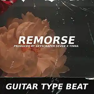 Picture for song 'Guitar Type Beat - Remorse' by artist 'Skyscraper Seven'