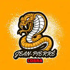 Picture for song 'Jean-Pierré - Cobra' by artist 'The 1n'