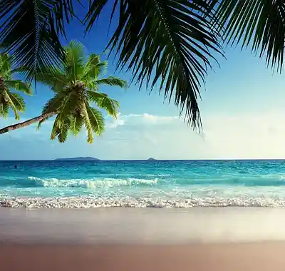 Picture for song 'Sun, Sand and Sea' by artist 'Tony William'