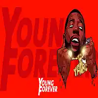 Picture for song 'Too Lit (Prod. By Young Forever Beats)' by artist 'Young Forever Beats'