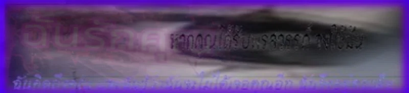 cover pic