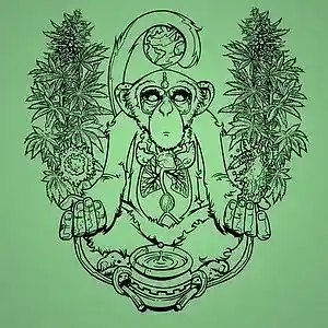 cover pic