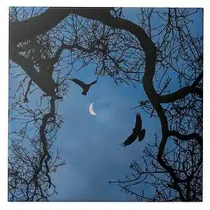 Picture for song '(indus x ice digger) starry night - 143' by artist 'prodbyindus'
