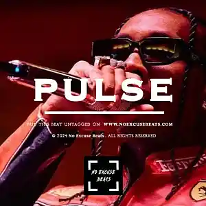 Picture for song 'Tyga "Pulse" BUY 2 GET 1 FREE' by artist 'No Excuse Beats'