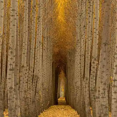 Picture for song 'This Horizon' by artist 'O5MO515'