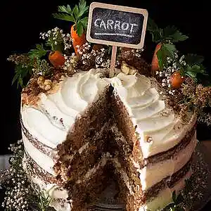 Picture for song 'Carrot Cake' by artist 'paul gorman and the hypnotist collectors'