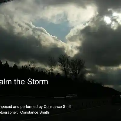 Picture for song 'Calm the Storm' by artist 'SteadyElm'