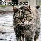 Picture for song 'NO Street Cred' by artist 'The Electric Cow Bell Project'