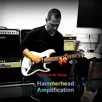 Picture for song 'Hammerhead Amplification (The Studio Version)' by artist 'The Guido K. Group'