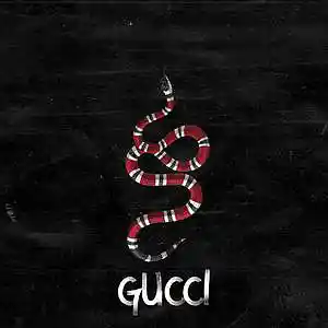 Picture for song 'Gucci' by artist 'TripHop Beatz'