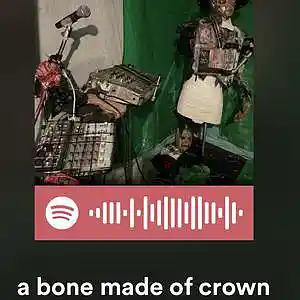Picture for song 'a bone made of crown' by artist 'V 35 53 L'