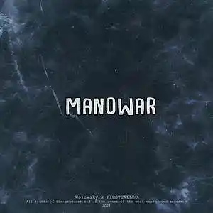 Picture for song 'BMTH x Slipknot Type Beat - Manowar' by artist 'Wolevsky'