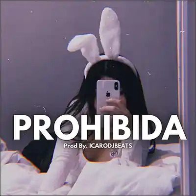 Picture for song 'PROHIBIDA (Beat Reggaeton 2025)' by artist 'ICARODJBEATS'