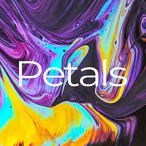 Picture for song 'Petals' by artist 'Magenta Sunset'