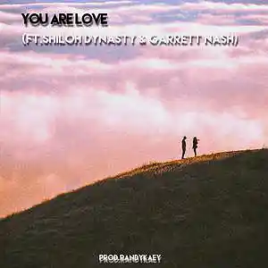 Picture for song 'You Are Love (Instrumental)' by artist 'Prod.RandyKaey'