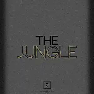 Picture for song '*Meek Mill* Jungle' by artist 'Rico Made da Beat'
