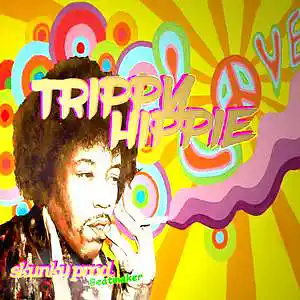 Picture for song 'TrippyHippie * trap beat 141 bpm' by artist 'Skunky Prod Beatmaker'