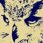 cover pic