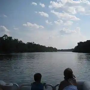 Picture for song 'Congratulations' by artist 'Combo Rockers'