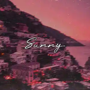 Picture for song 'Sunny (Free Download)' by artist 'Frankenstein Beats'