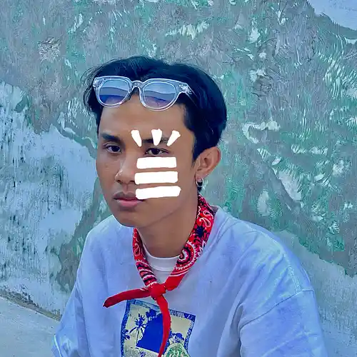 Artist picture