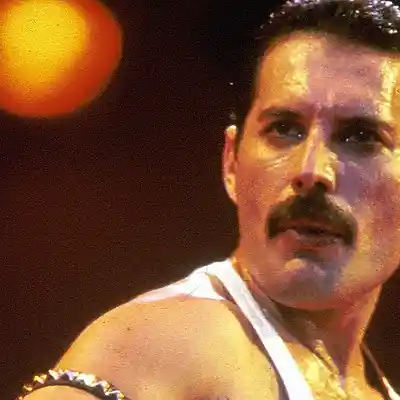 Picture for song 'Bohemian rhapsody' by artist 'Mr. Medley'
