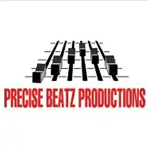 Picture for song 'Animosity' by artist 'Precise Beatz'