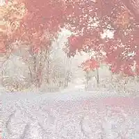 Picture for song 'Snow Angel LifesRoyMunizSPR' by artist 'Roy Muniz'