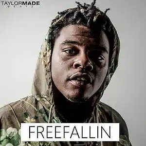 Picture for song 'Freefallin' by artist 'TaylorMadeBeatz'