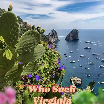 Picture for song 'Who Such - Virginia' by artist 'Who such'