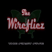 Picture for song 'Too Much Too Little.mp3' by artist 'Wirefliez'