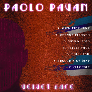 Picture for song 'City Tale' by artist 'Paolo Pavan'