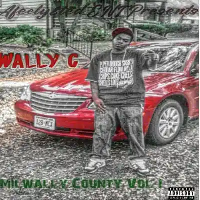 Picture for song 'Bring It Back- Ro-Cheese feat Toran' by artist 'Wally C'