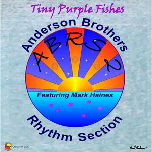 Picture for song '01-Ambiguity Road-MP3' by artist 'Anderson Brothers Rhythm Section'