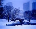 Picture for song 'BLAZED IN CENTRAL PARK (SOLD)' by artist '2toxic'