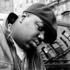 Picture for song 'The Commander' by artist '3RD DIMENSIONAL BEATS'