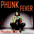 Picture for song 'PhunkFever (Phunkin' Dub)' by artist '401 ByPass'
