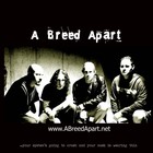 Picture for song 'Sour - live acoustic version' by artist 'A Breed Apart'