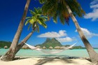 Picture for song '*HOT* Caribbean - Future Lil Wayne Type Beat' by artist 'AcidOnThatTrack'